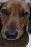 battle bus album cover